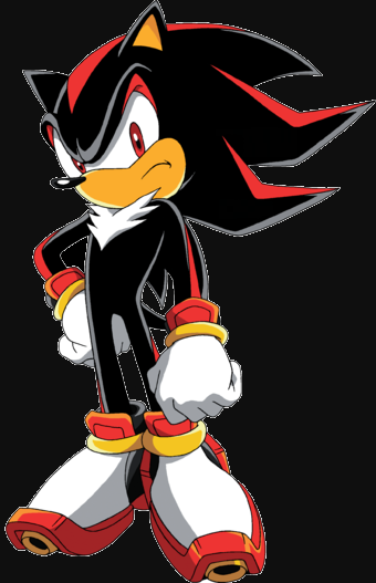 Shadow in his iconic pose.  Stupid hedgehog.